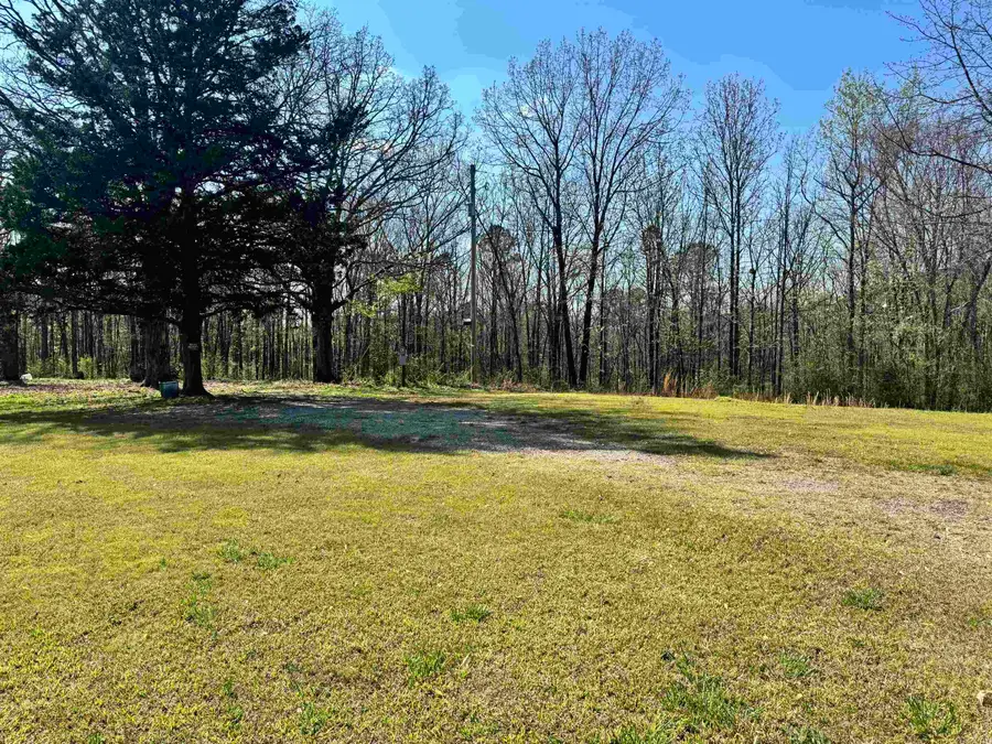 209 Finks Street, Mena, AR 71953 - #3