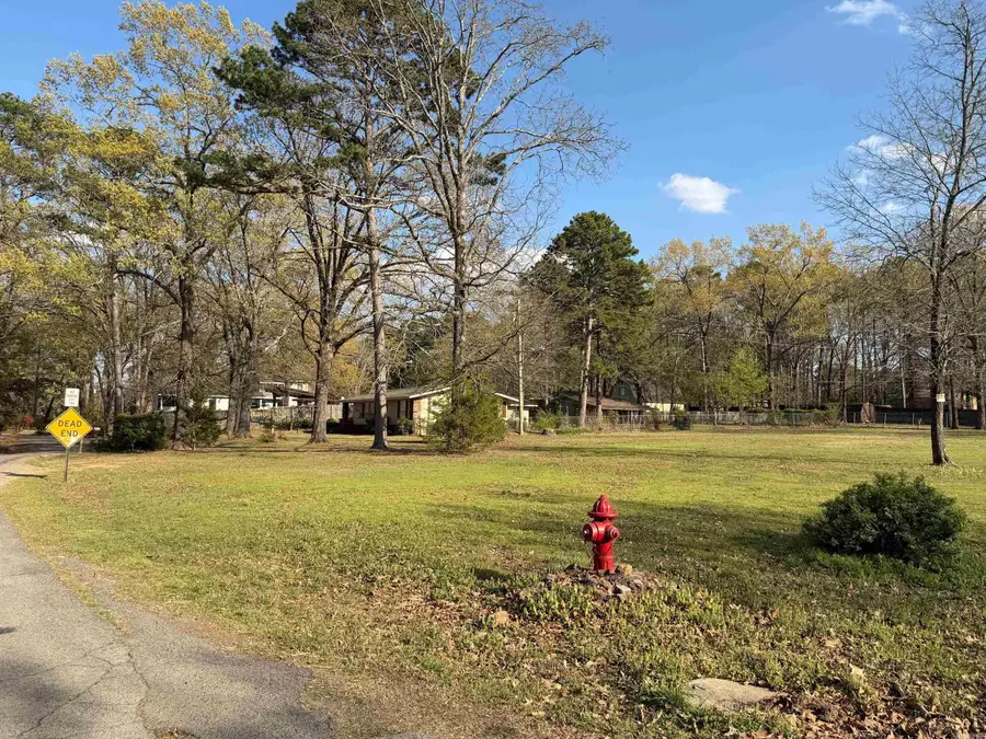 2417 Woodland Bluff Drive, Heber Springs, AR 72543 - #3