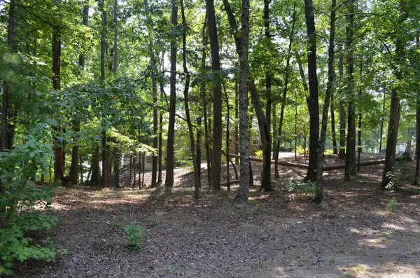 Address Withheld By Seller, Hot Springs Village, AR 71909