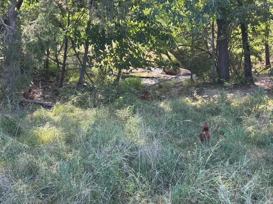 183 Lawrence 352 Road, Saffell, AR 72572 - #2