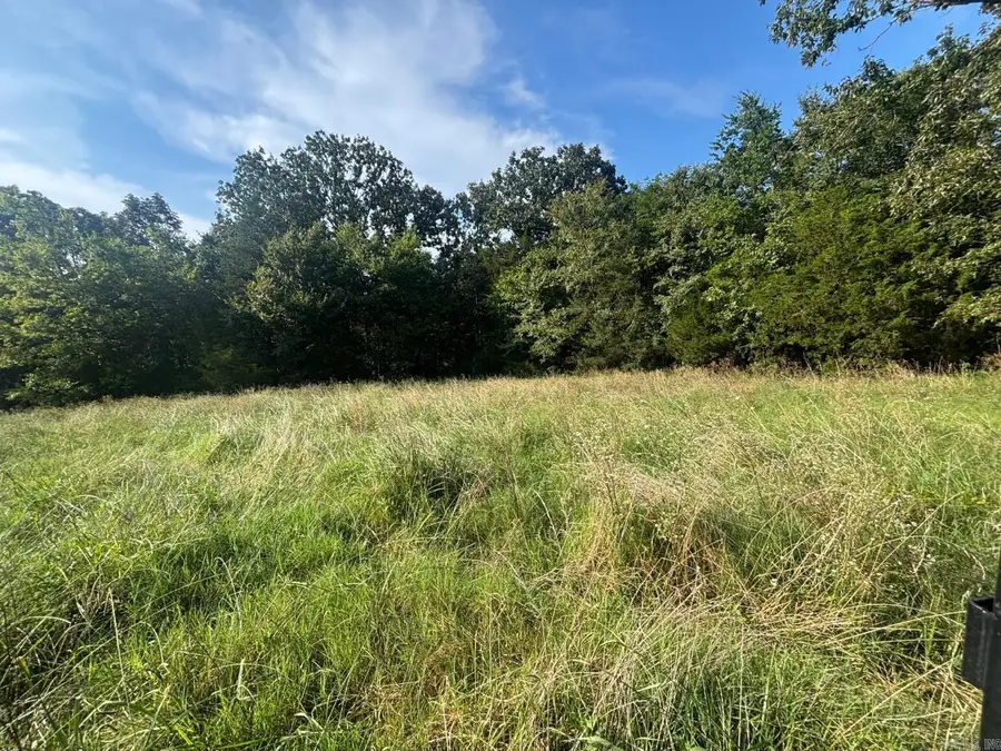 183 Lawrence 352 Road, Saffell, AR 72572 - #3