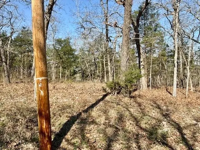 TBD Powhatan Drive, Cherokee Village, AR 72529 - #2