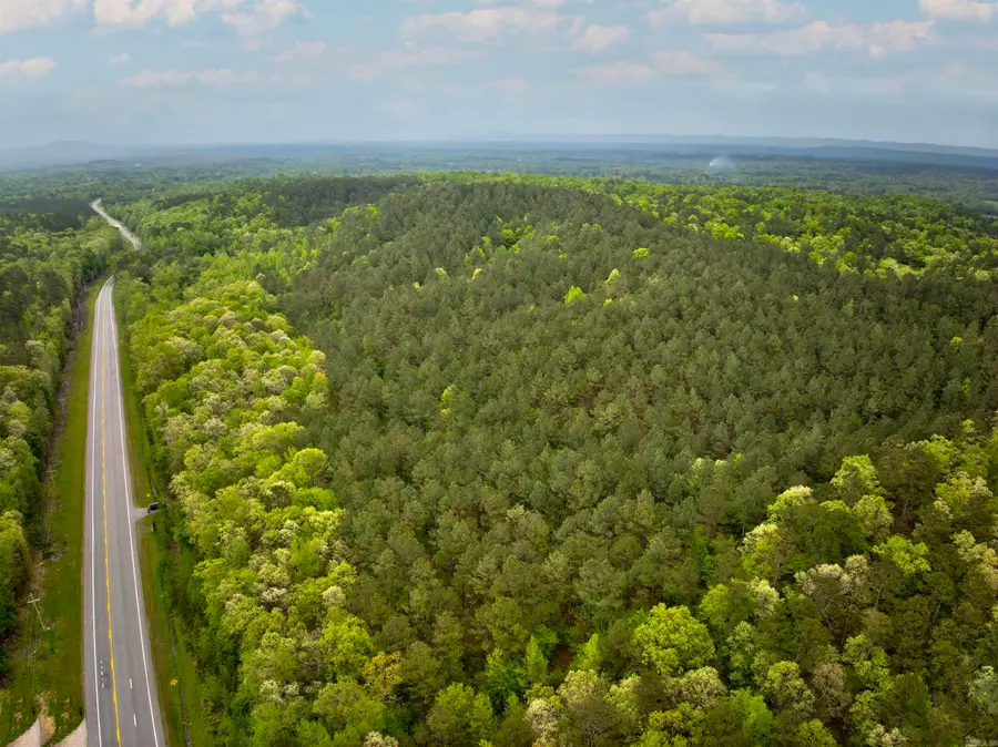 9319 Albert Pike Road, Royal, AR 71968 - #2