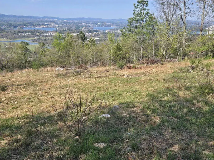 XXX Mt Riante Road, Hot Springs, AR 71913 - #3