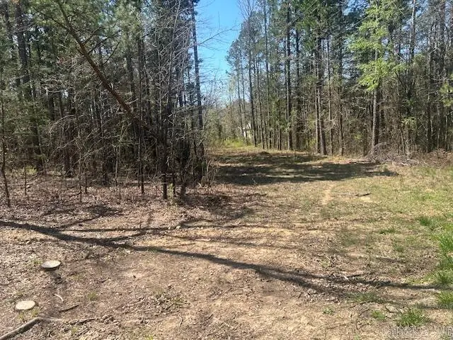 114 Coyote Canyon Road, Shirley, AR 72153 - #2