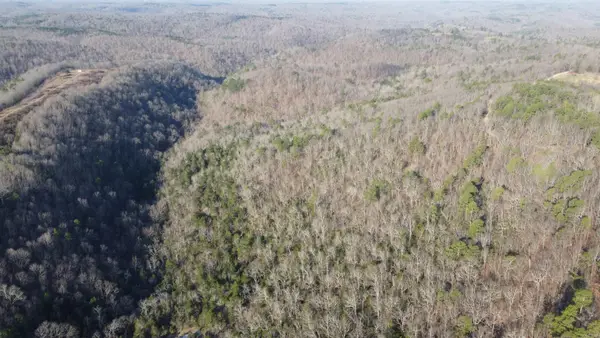 Address Withheld By Seller, Harriet, AR 72639