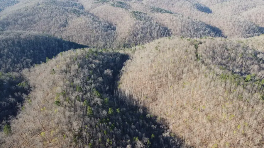 Address Withheld By Seller, Harriet, AR 72639 - #2