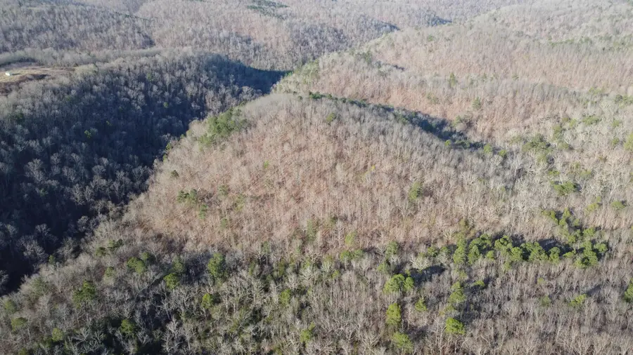 Address Withheld By Seller, Harriet, AR 72639 - #3