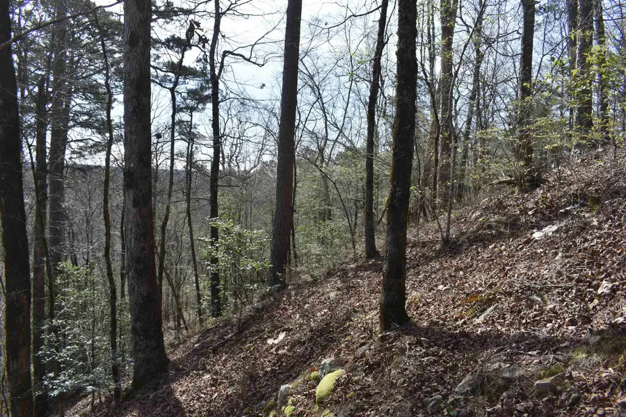 0000 Old Dallas Road, Norman, AR 71960 - #3