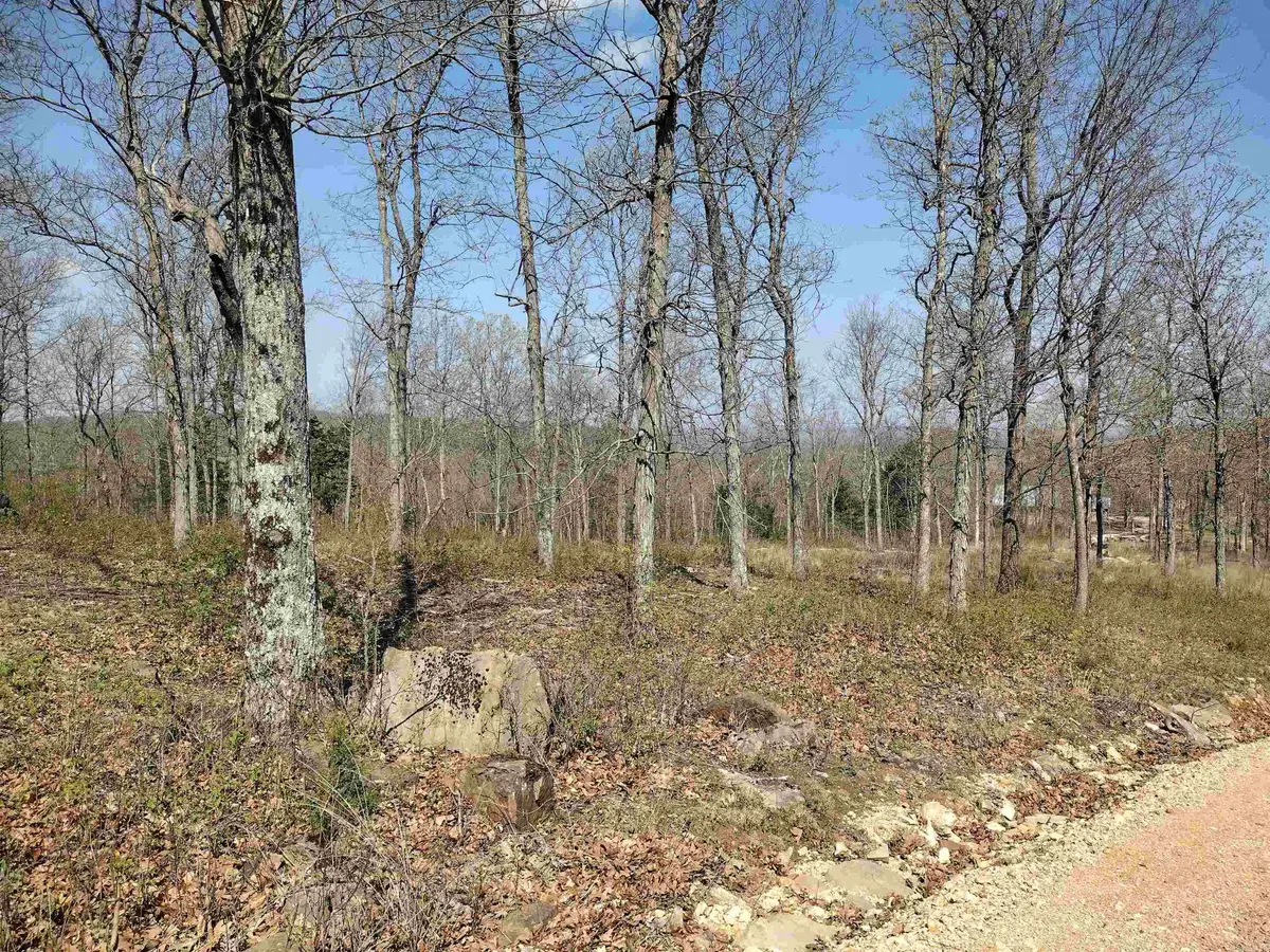 0 Harness Rd, Mountain View, AR 72560 - #1