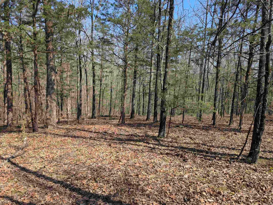 Lot 20 River Ridge Estates, Heber Springs, AR 72543 - #3