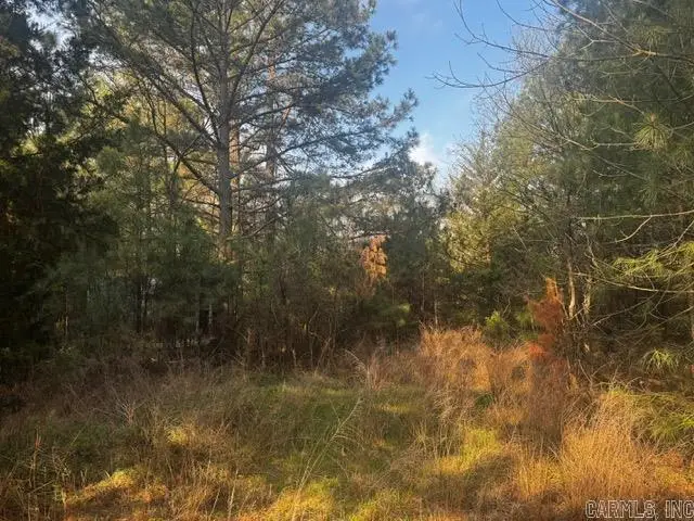 2110 Hoelscher Lane, Pocahontas, AR 72455 - #2