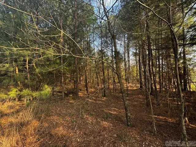 2110 Hoelscher Lane, Pocahontas, AR 72455 - #3