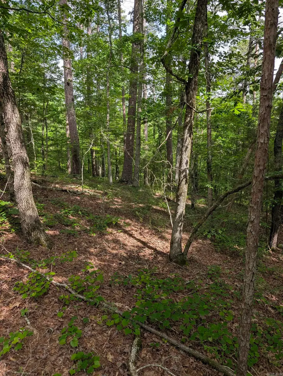 Address Withheld By Seller, Hot Springs Village, AR 71909 - #2