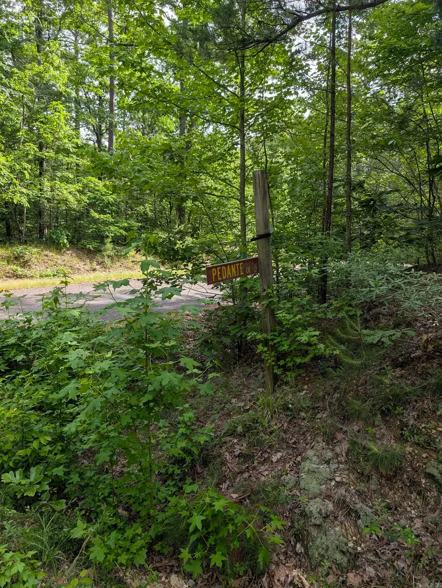 Address Withheld By Seller, Hot Springs Village, AR 71909 - #3