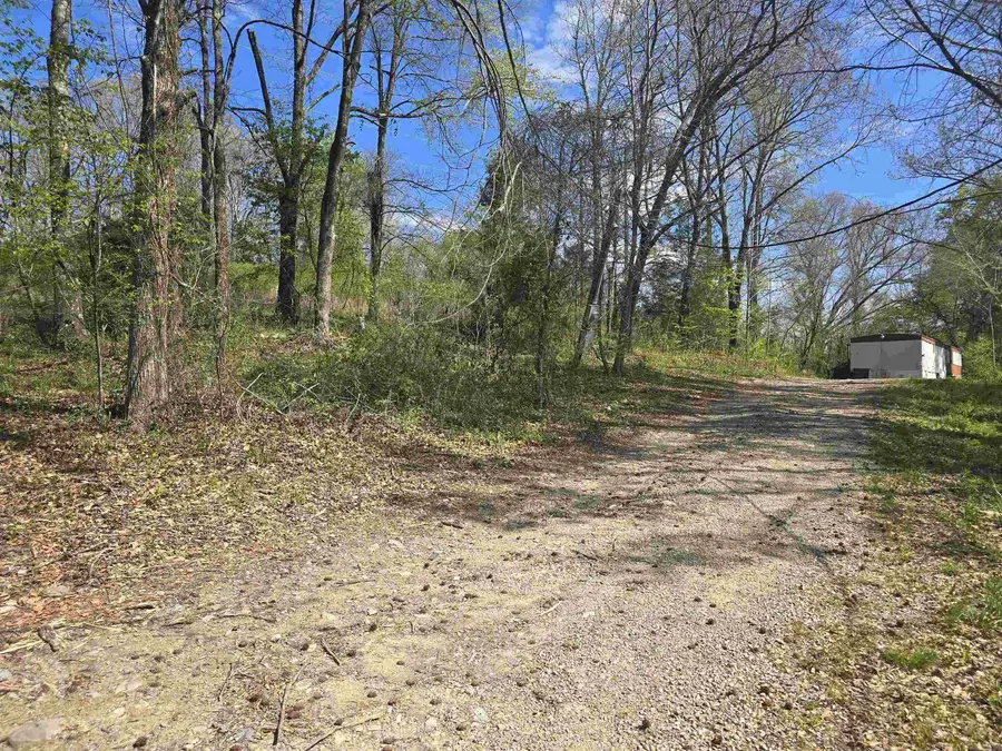 367 Wandering Way, Mountain Pine, AR 71956 - #3