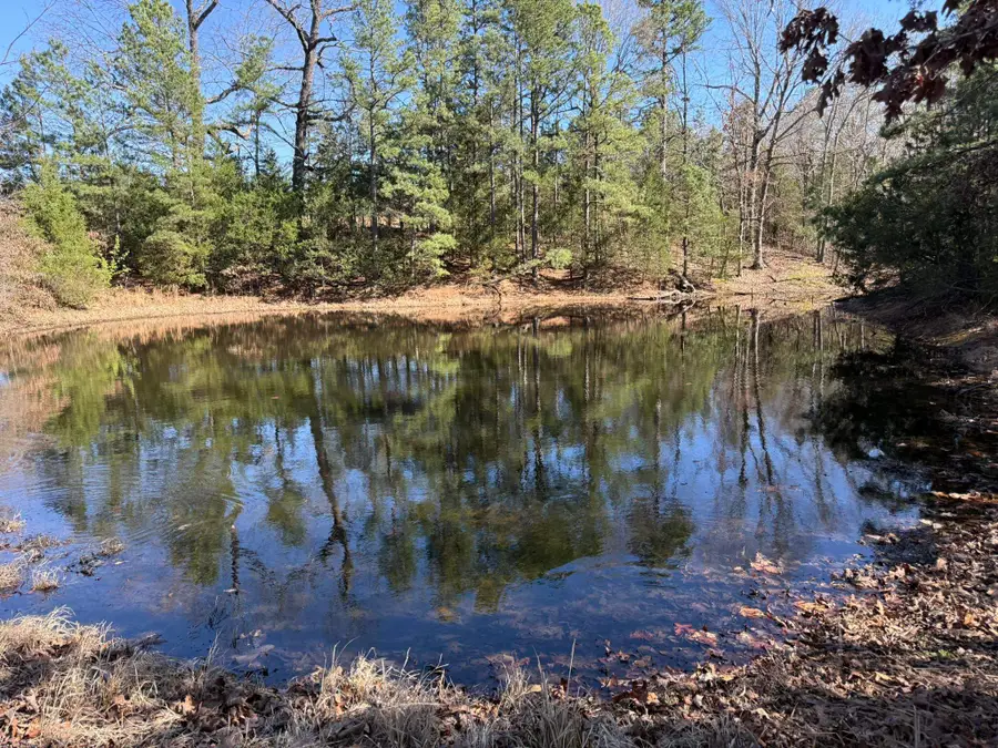 20B Highway 58 East, Melbourne, AR 72556 - #2