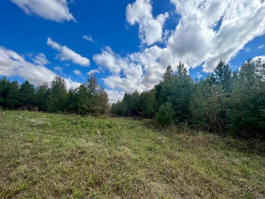 00 Hwy. 49, Brookland, AR 72417 - #2