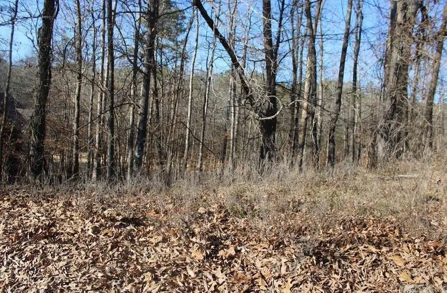 1672 Westchester, Hot Springs, AR 71913 - #2