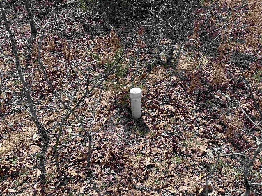 Claxton Rd, Ash Flat, AR 72513 - #3