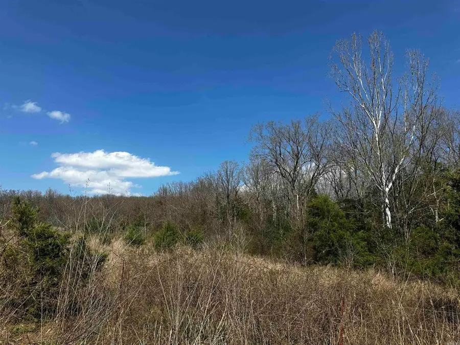 000 Horton Hill Road, Alco, AR 72680 - #3