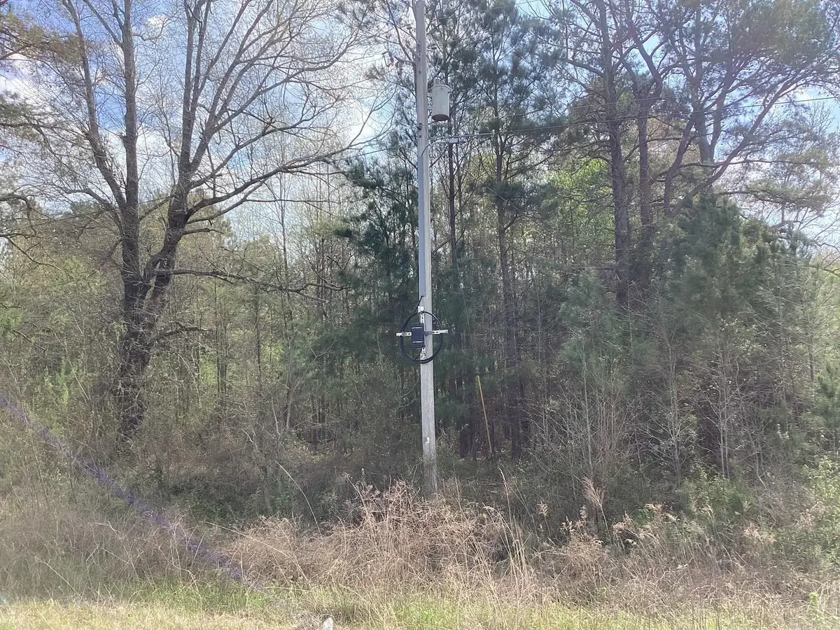 4736 Hwy 29 S, Hope, AR 71801 - #1