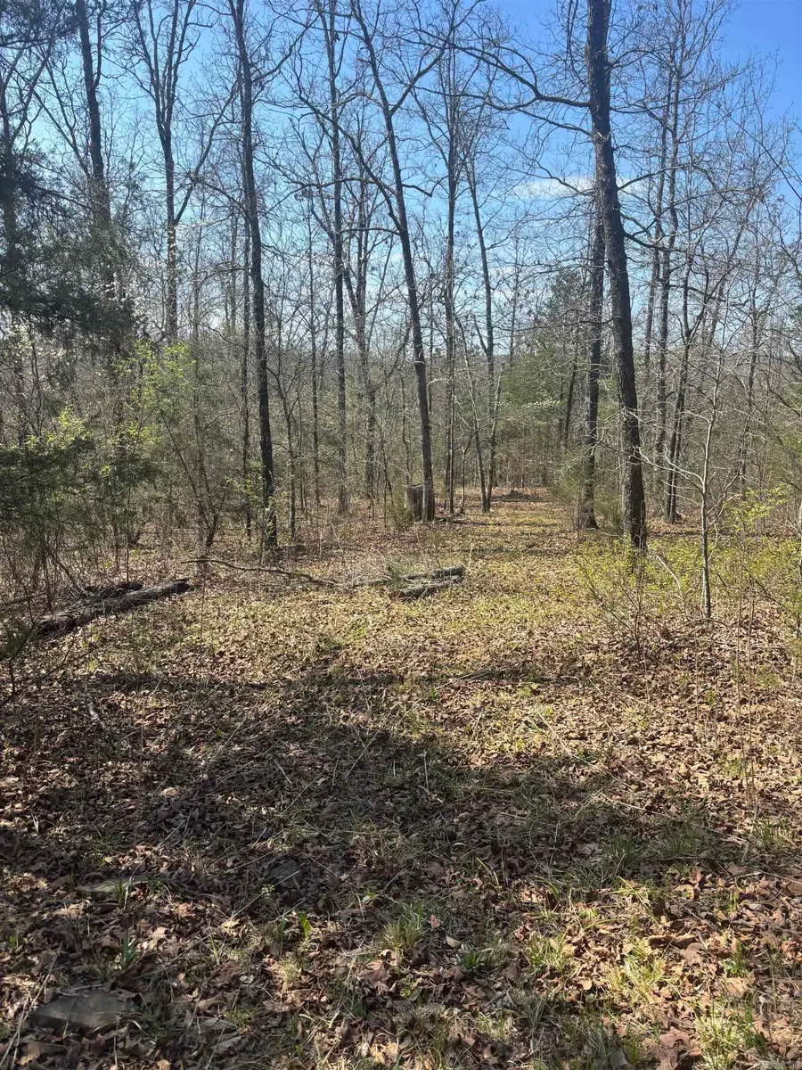 Address Withheld By Seller, Clinton, AR 72031 - #2