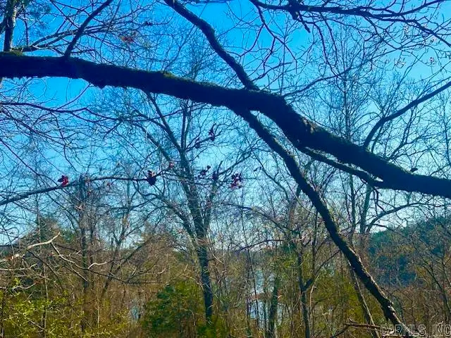 0 Cr 8060, Yellville, AR 72687 - #1