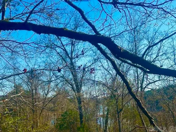 0 Cr 8060, Yellville, AR 72687