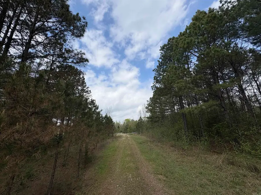 TBD Frost Road, Caddo Valley, AR 71923 - #2