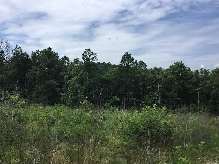 58 Rocky Creek Road, Reveilee, AR 72943 - #2