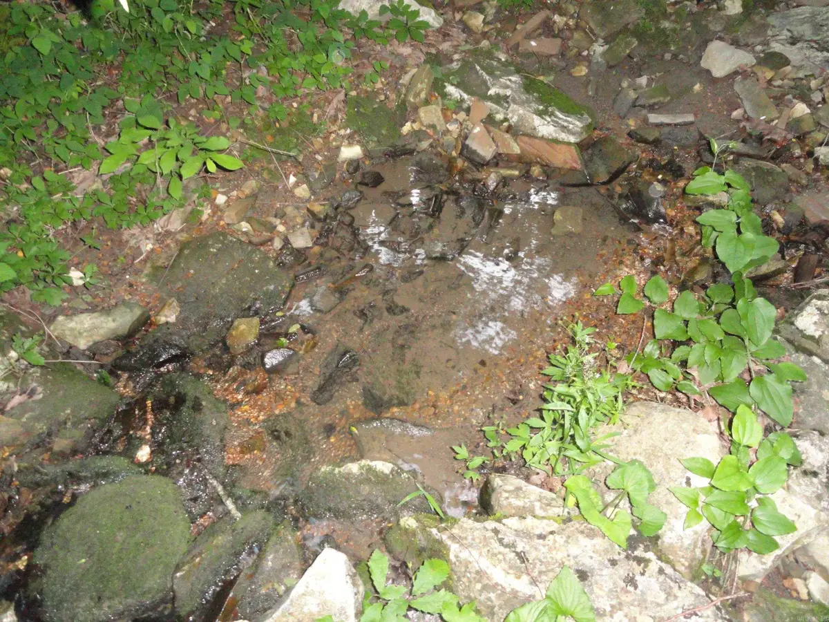 168 Reflections Drive, Marshall, AR 72650 - #1