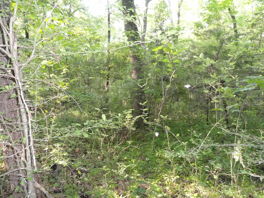 168 Reflections Drive, Marshall, AR 72650 - #2