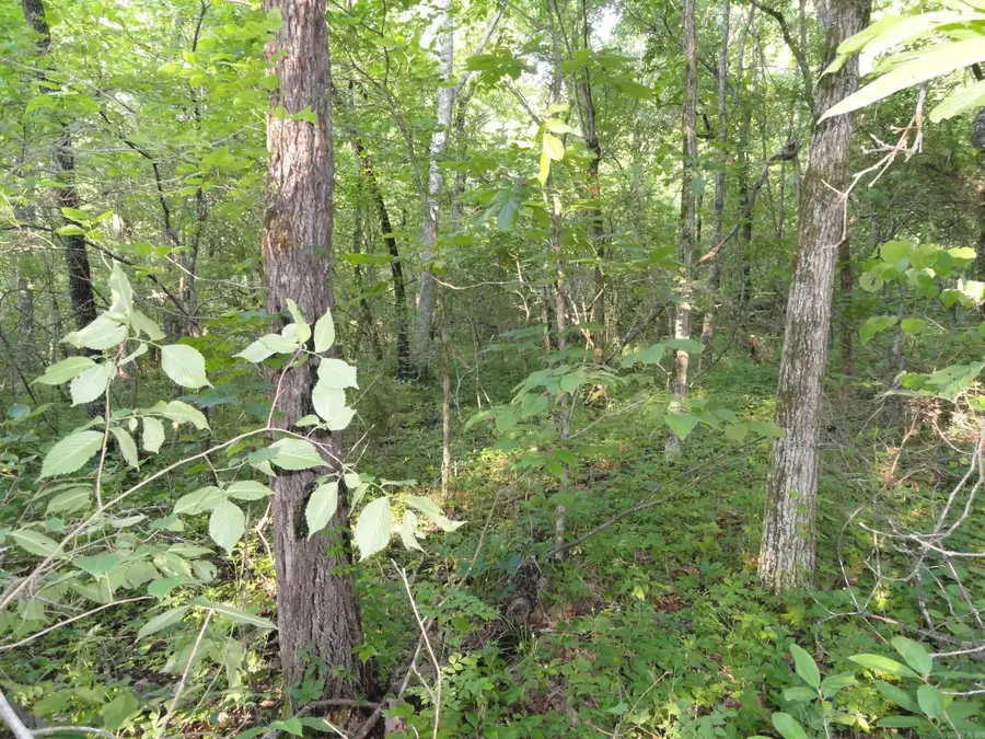 168 Reflections Drive, Marshall, AR 72650 - #3