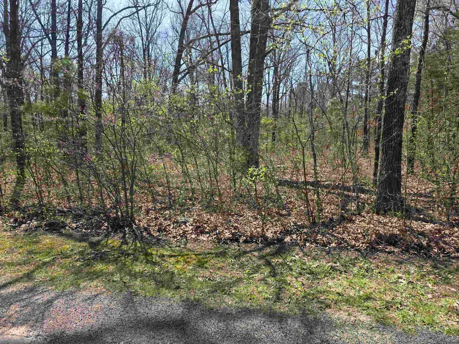 L-22 B-10 Nameoki Drive, Cherokee Village, AR 72529 - #3