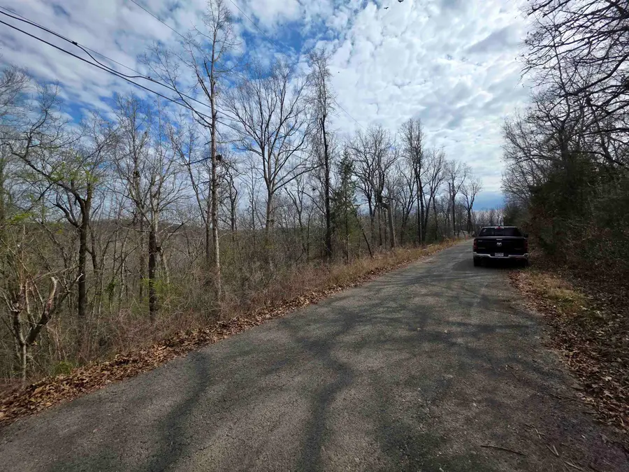 L-12 B-4 Will Scarlet Drive, Hardy, AR 72542 - #3