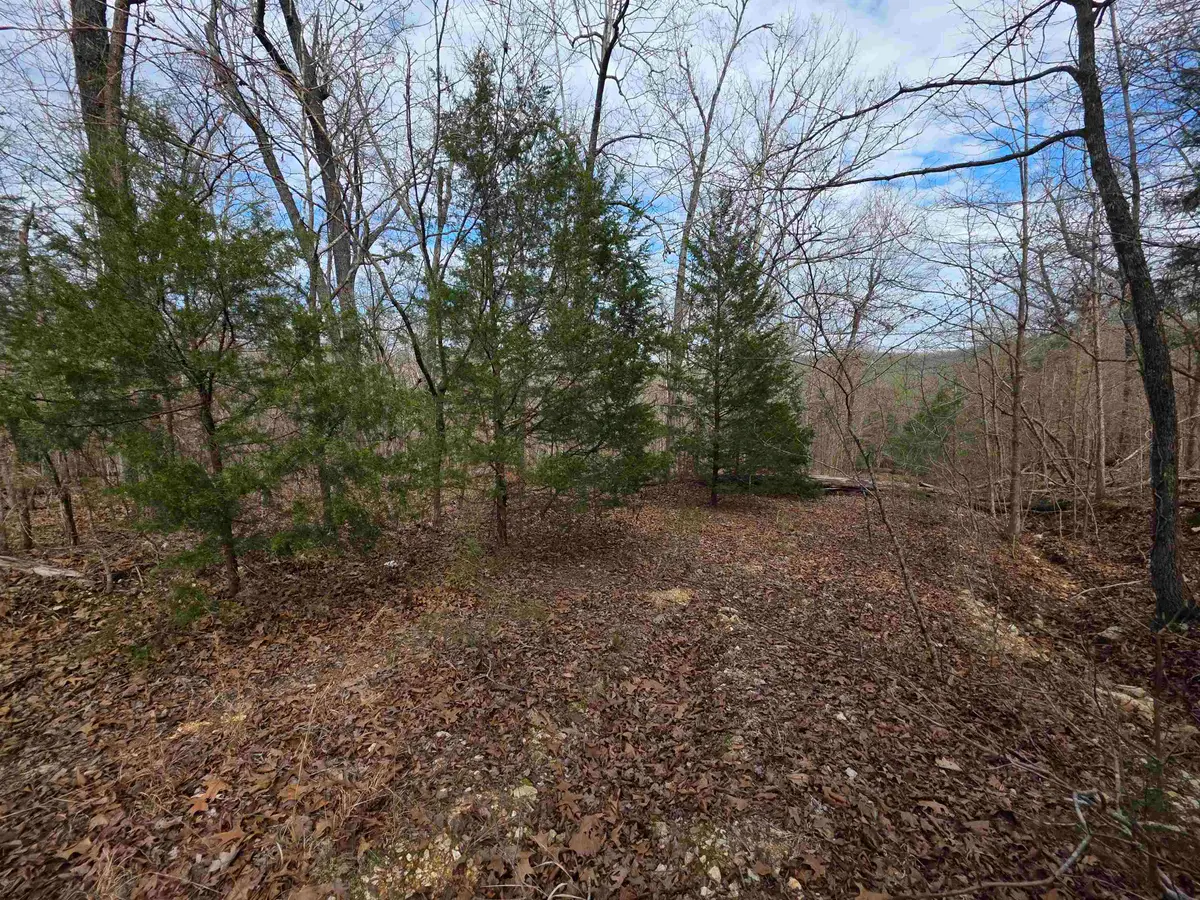 L-42 B-1 Robin Hood Lane, Hardy, AR 72542 - #1