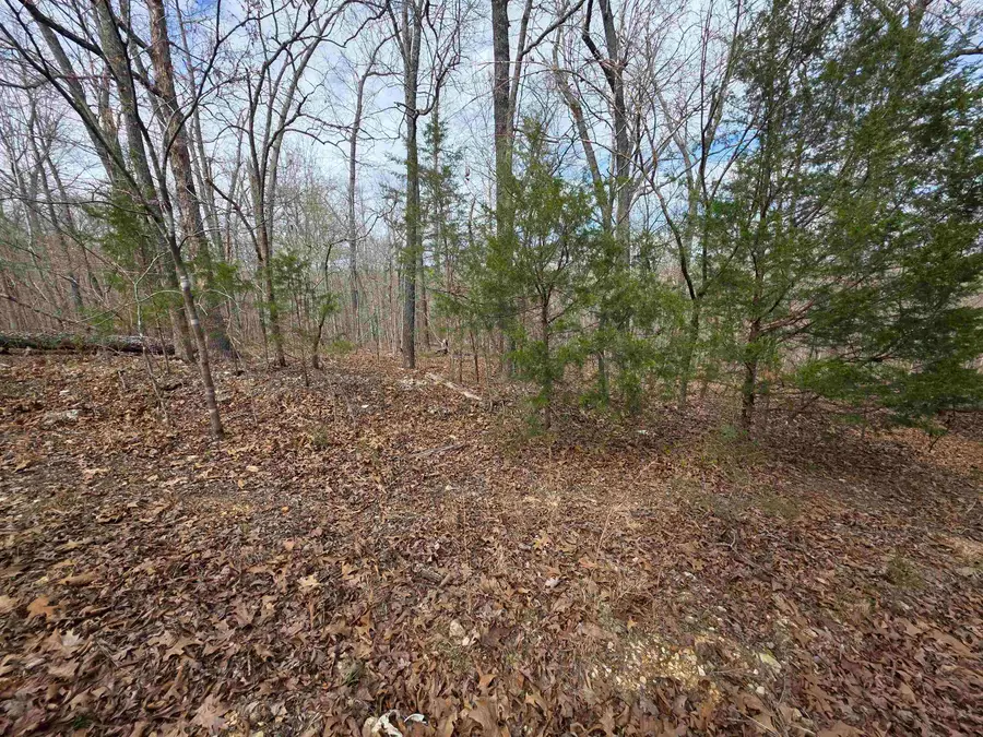 L-42 B-1 Robin Hood Lane, Hardy, AR 72542 - #2