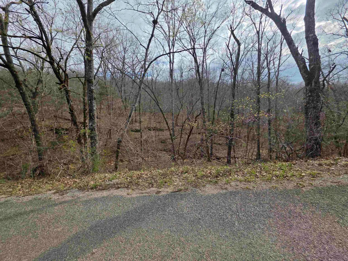 L-25 B-1 Woodland Hills Road, Hardy, AR 72542 - #1