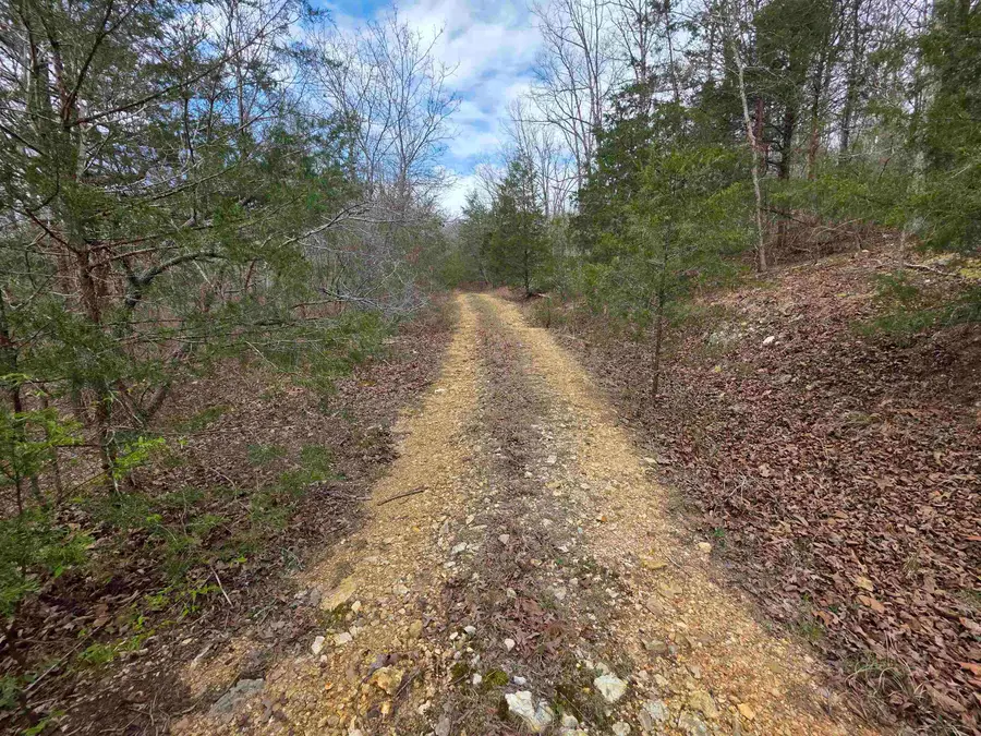 L-24 B-5 Tom Lee Road, Hardy, AR 72542 - #2