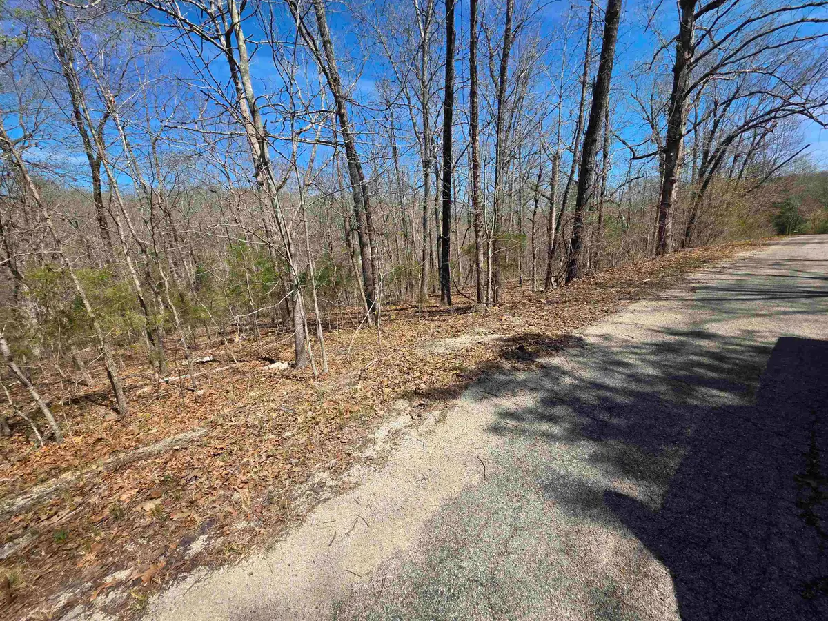 L-14 B-11 Oklahoma Circle, Cherokee Village, AR 72529 - #1