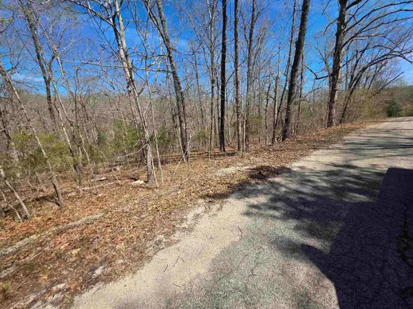 L-14 B-11 Oklahoma Circle, Cherokee Village, AR 72529