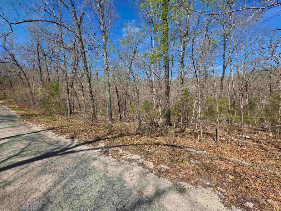 L-14 B-11 Oklahoma Circle, Cherokee Village, AR 72529 - #3