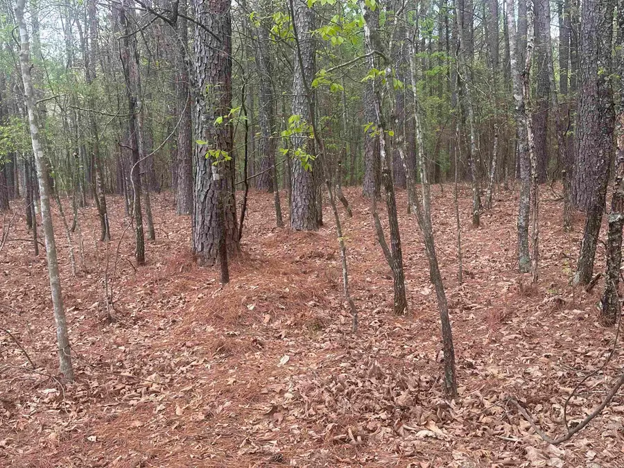 6 Alhaja Way, Hot Springs Village, AR 71909 - #2