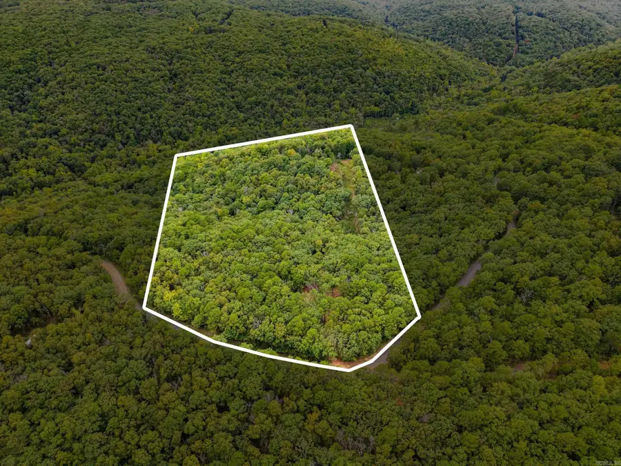 2190 Plant Church Road, Clinton, AR 72031 - #2