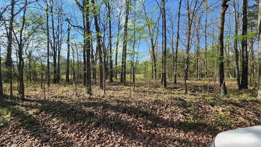 25 Graddy Loop, Vilonia, AR 72173 - #3