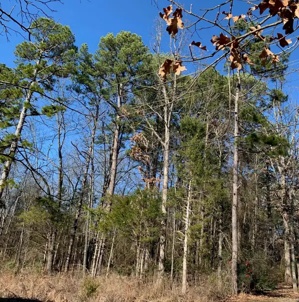 Lot 4 Thelma Street, Heber Springs, AR 72543