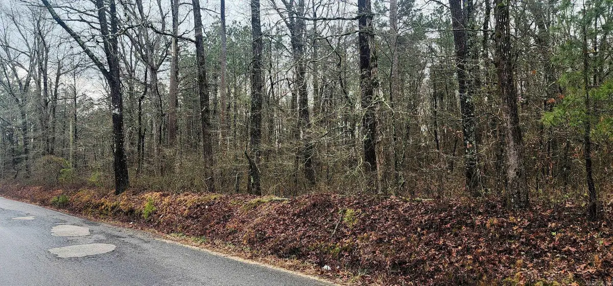 Lot 3 Smith Road, Rison, AR 71665 - #1