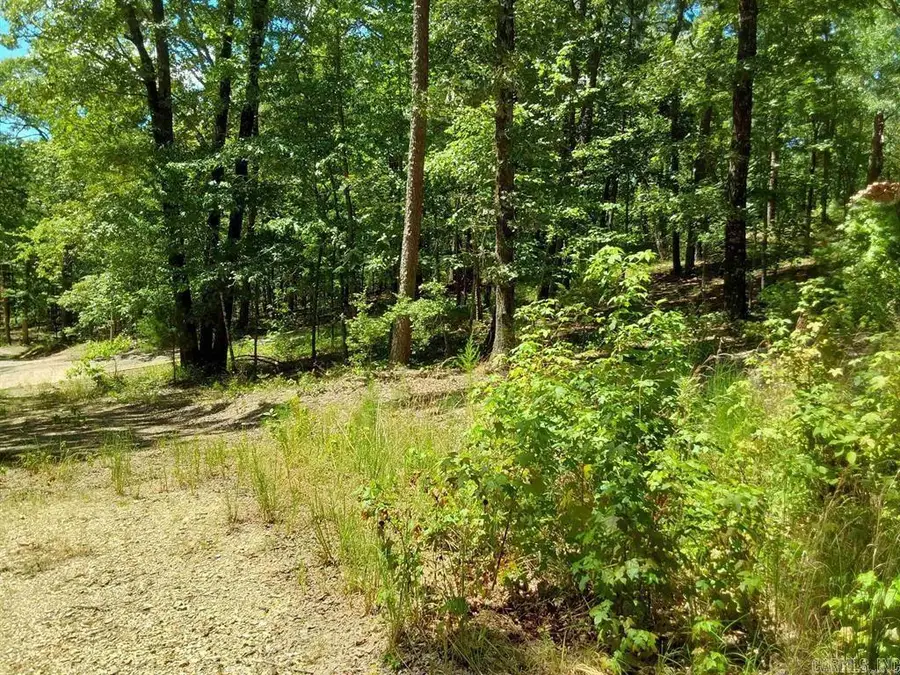 615 Rio Lane, Little Rock, AR 72210 - #2