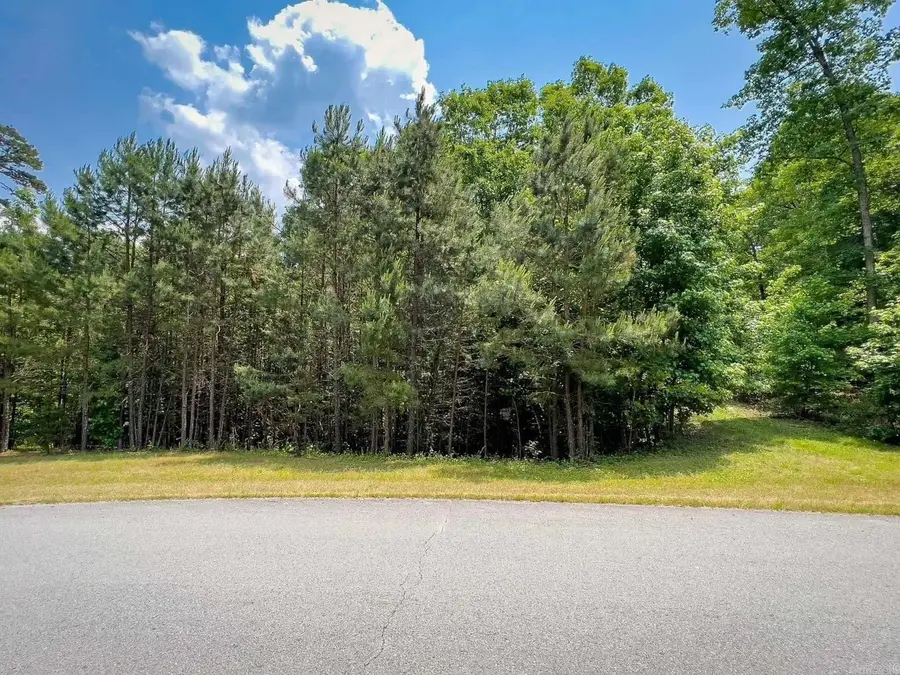 212 Broad Hawk Circle, Paron, AR 72122 - #3